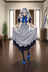 AUTOMATE MAID