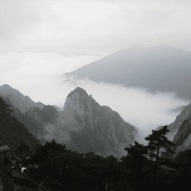 Dao Qing Trad