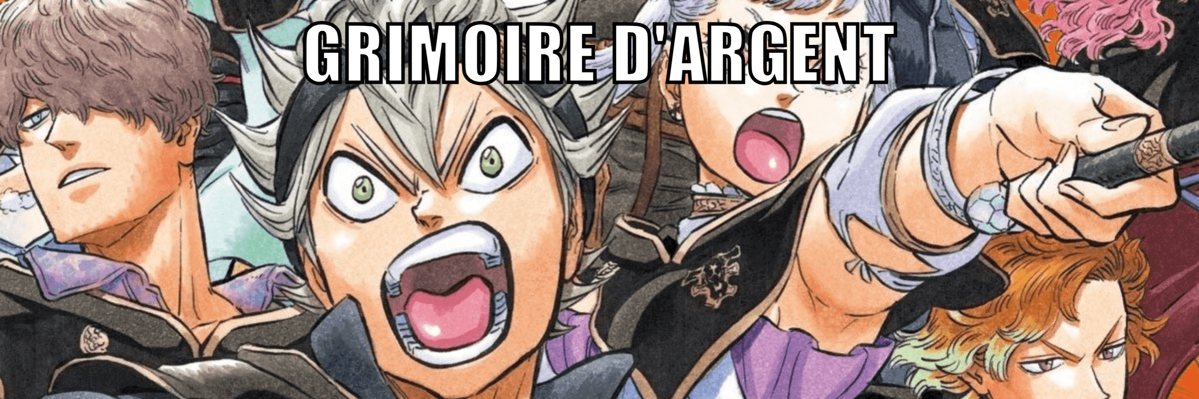Bannière Le Grimoire d'Argent