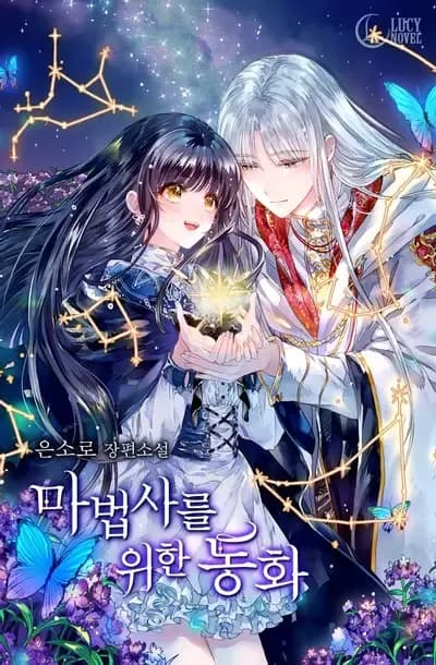 Couverture de A Fairytale for Wizards