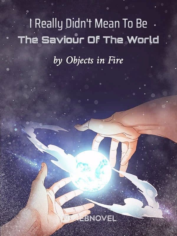 Couverture de I Really Didn’t Mean To Be The Saviour Of The World